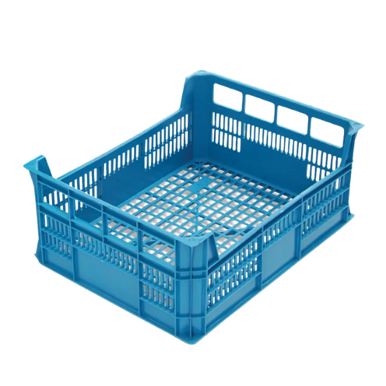 Caixa Exportação Frutas
